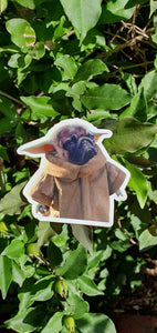 Pug Sticker. Baby Sticker. Pug Dog Sticker. Laptop Stickers