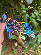 Load image into Gallery viewer, Rhino Beetle Holographic Sticker. Rhinoceros Beetle. Sun And Moon Sticker. Witchy Sticker. Insect Sticker. High quality Beautiful Sticker