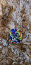 Load image into Gallery viewer, Magic Mushrooms Acrylic Pin.