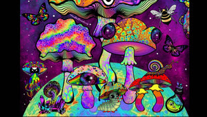 Trippy Print. Mushrooms. Psychedelic. A3, A4 ,A5 or 4”x6"