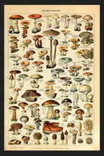 Load image into Gallery viewer, Retro Mushroom Tapestry. Wall Hanging. Mushroom Tapestries. Vintage Mushrooms