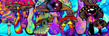 Load image into Gallery viewer, Mushroom Print. Trippy Psychedelic Mushrooms. Wall Art Print. Mushrooms and Critters A3, A4 ,A5 or 4”x6&quot;