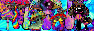 Mushroom Print. Trippy Psychedelic Mushrooms. Wall Art Print. Mushrooms and Critters A3, A4 ,A5 or 4”x6"